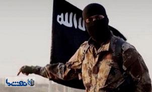 تاکنون چند داعشی کشته شده است؟ 