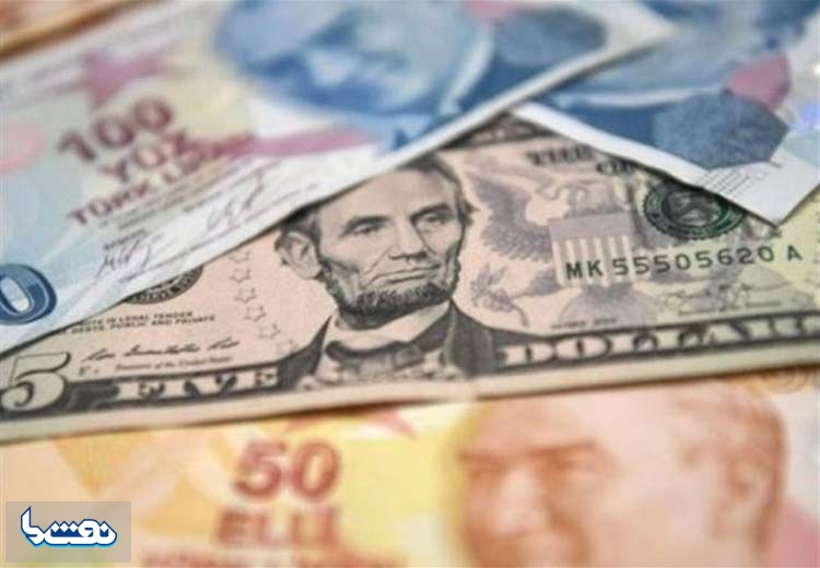 درخواست دولت ترکیه از مردم برای کنار گذاشتن دلار به نفع لیر