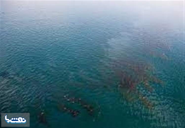 آلودگی نفتی دریای عمان پاکسازی شد
